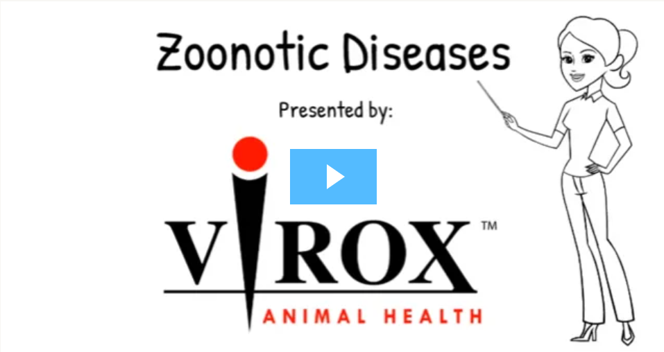 COVID-19 - Virox Animal Health